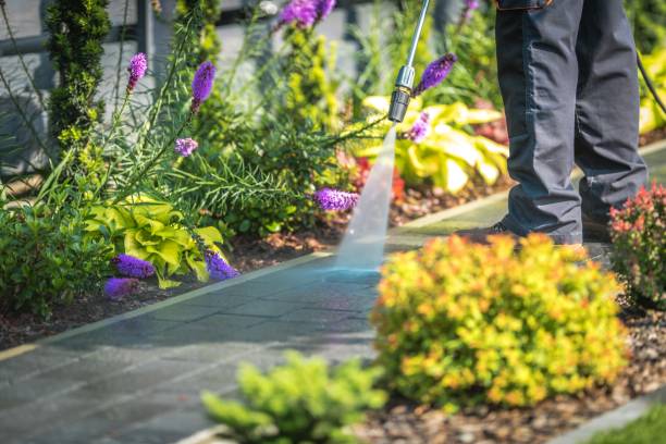 Trusted Wapakoneta, OH  Pressure Washing Services Experts